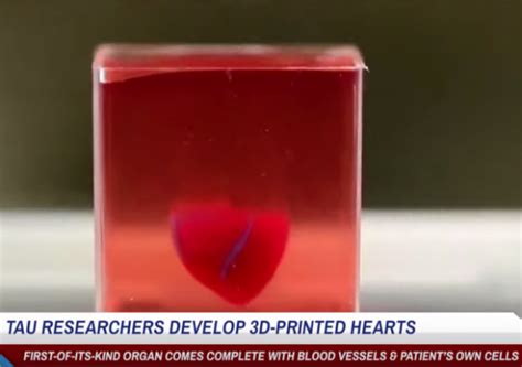 3d Printed Heart Israel