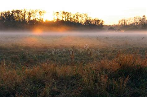 Early Morning Sunrise Over A Farm Field With Heavy Fog On The Horizon