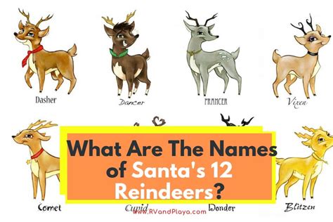 What Are The Names Of Santas 12 Reindeers List And Personalities