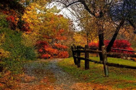 Autumn Trail Photograph By Cheryl Cencich