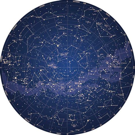 Detailed Map Of Constellations Wallpaper Mural | Murals Your Way