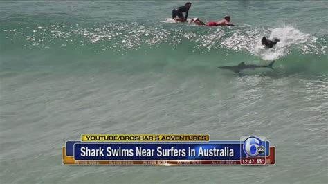 Video Surfer Catches Wave Right Over Shark In Australia 6abc