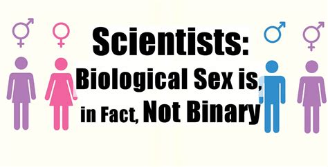 Scientists Biological Sex Is In Fact Not Binary By Phaylen