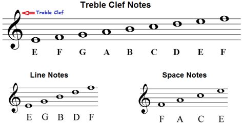 These are treble clef notes. The treble clef, staff, notes, how to draw