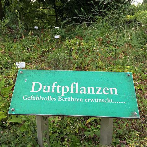 Maybe you would like to learn more about one of these? Botanischer Garten Osnabrück »» Grünstes Ausflugsziel der ...
