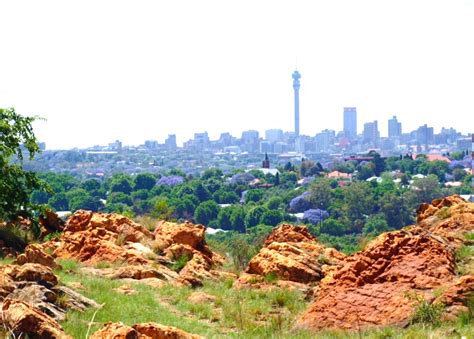 View Of Joburg From Melville Koppies Wendy Carstens The