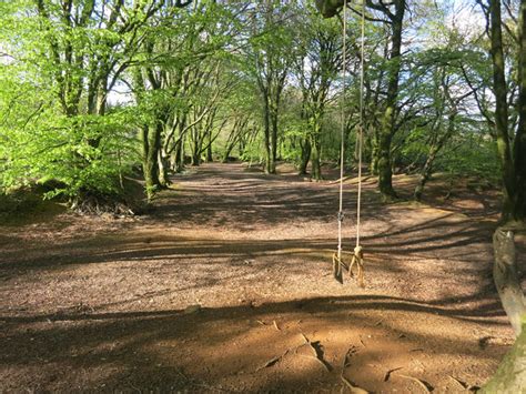 Swing In The Woods © Des Blenkinsopp Geograph Britain And Ireland