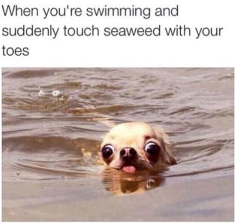 29 Of The Most Relatable Pics That Will Perfectly Sum Up Your Life