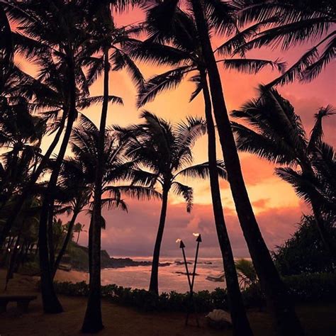 Hawaiʻi Magazine On Instagram Sunsets Palm Trees Magic 📷 By
