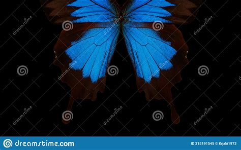Blue Abstract Pattern Wings Of The Butterfly Ulysses Closeup Wings