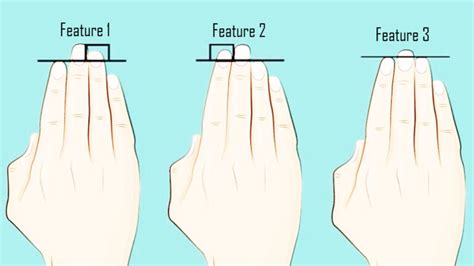 Your Finger Shape Determines Your Personality Type Brainfeeding