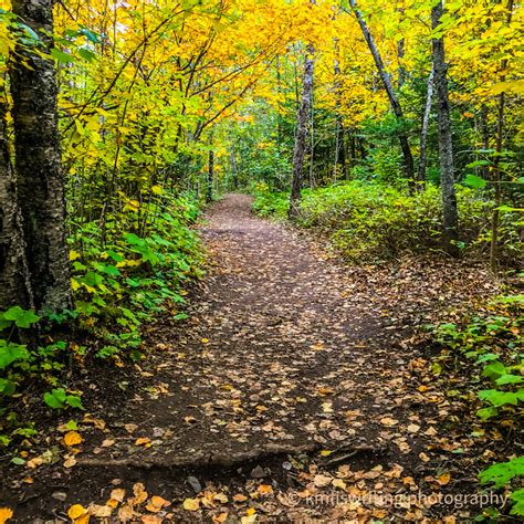Best Fall Colors North Shore Minnesota Hiking Trails