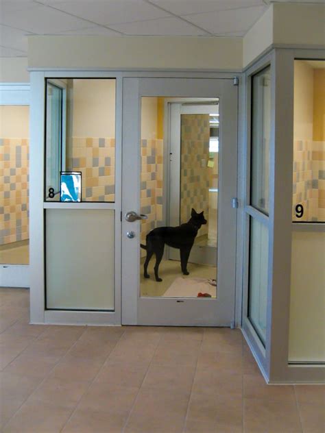Whether you want to visit with the animals or offer other services like marketing expertise, event engagement, construction services. Dog Adoption Kennel at Longmont Humane Society - designed ...
