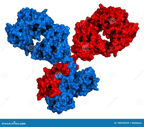 Igg1 Monoclonal Antibody Immunoglobulin 3d Rendering Many Biotech