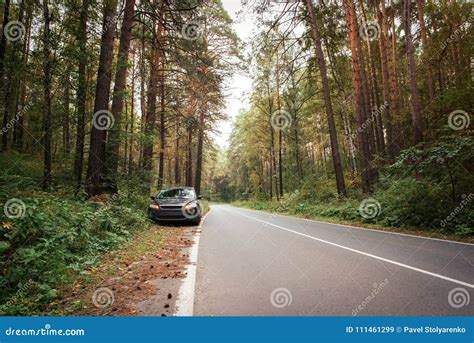 Forest Road And Car Stock Image Image Of Japan Aomori 111461299