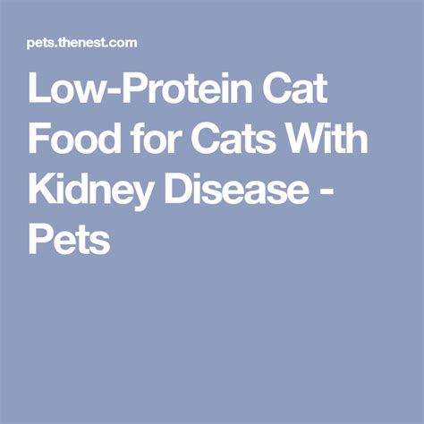 The primary means of treatment involves a change of diet to low protein cat food. Low-Protein Cat Food for Cats With Kidney Disease | Cat ...