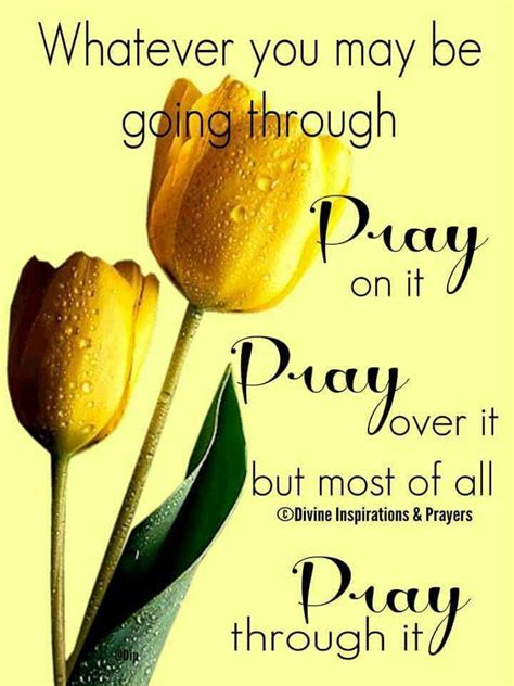 See more ideas about good morning quotes, morning blessings, morning greetings quotes. Pin by Lourdes Piloto on Christelike versies | Prayer ...