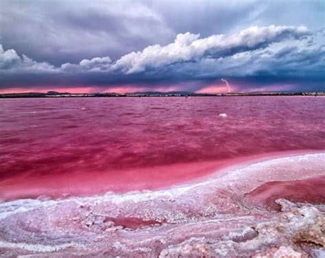 Top 10 Des Lacs Les Plus Colorés Du Monde Lac Rose Australie Lac