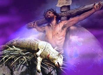 Image result for Jesus the lamb of God