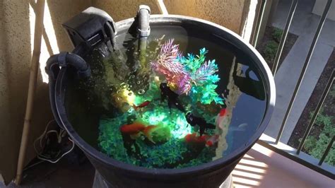 Less Than 20 Pond How To Fancy Goldfish Container Pond Care Setup