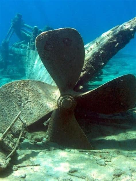 Best Glass Bottom Shipwreck Tours In Michigan