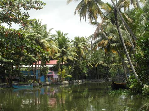 Alleppey Backwaters Photo