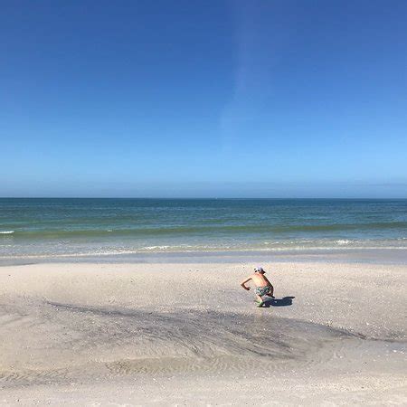 Caladesi Island State Park Dunedin 2019 All You Need To Know BEFORE