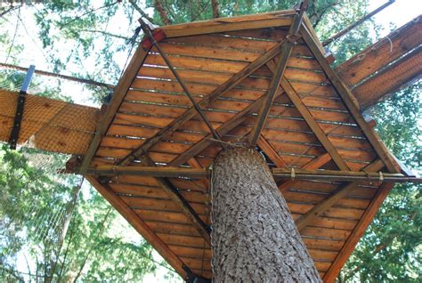 14 Treehouse Ideas For Your Backyard Lawnstarter