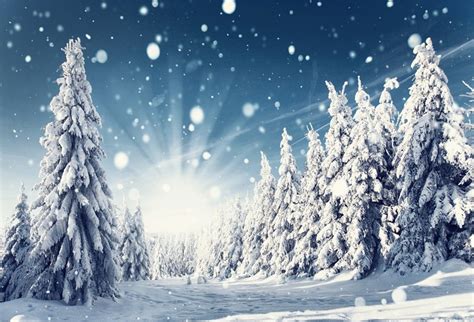 Laeacco Dreamy Snowy Forest Backdrop 8x6ft Vinyl Photography Background