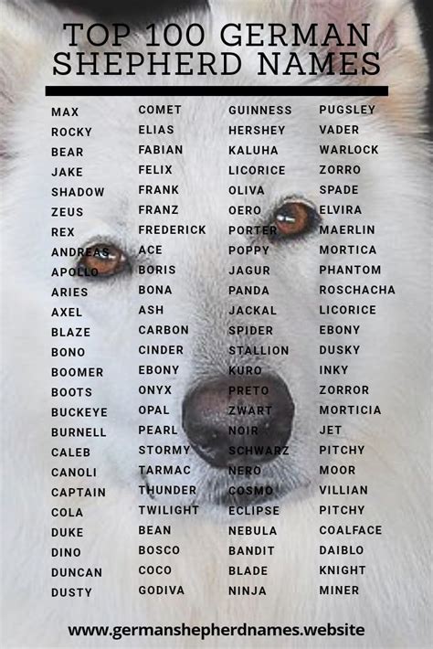 Pin On German Shepherd Names