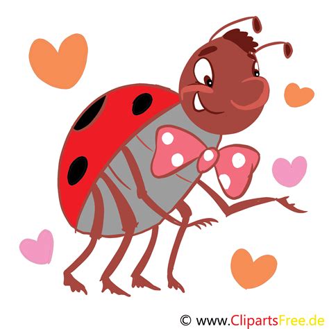 Kreuzworträtsel oder auch schwedenrätsel genannt sind in deutschland eine der beliebtesten wissensrätsel für erwachsene. Clip Art Marienkäfer kostenlos