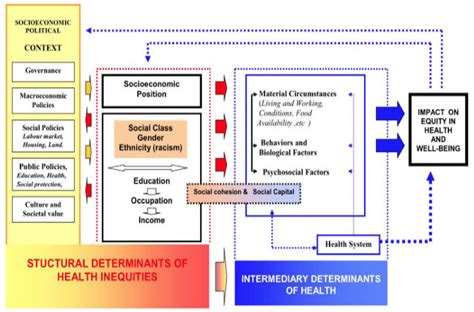Figure1 Conceptual Framework Of Social Determinants Of Health