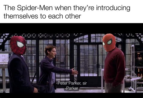 Making A Meme Out Of Every Line In Spider Man 2 Meme 206 Rraimimemes