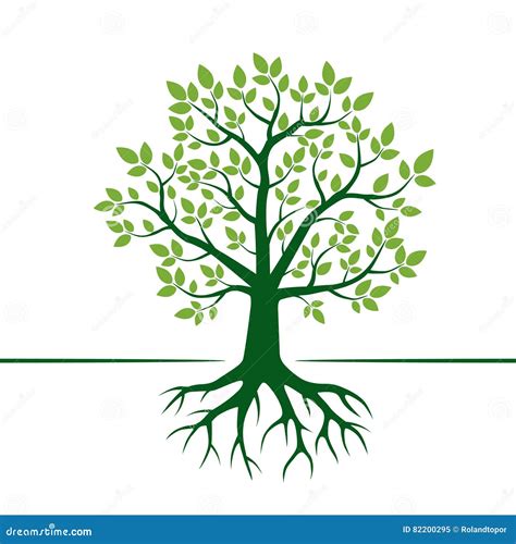 Green Vector Tree And Roots Vector Illustration Stock Illustration