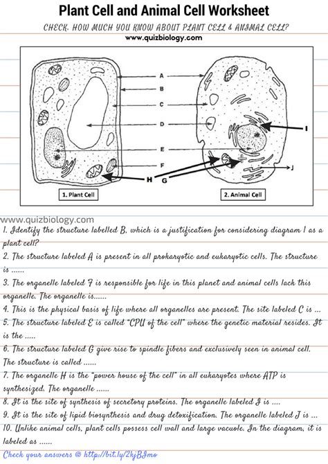 The pressure inside a plant cell caused by water pushing against the cell wall is called _____turgor_____ pressure. Cell Parts And Functions Worksheet Pdf | Reviewmotors.co