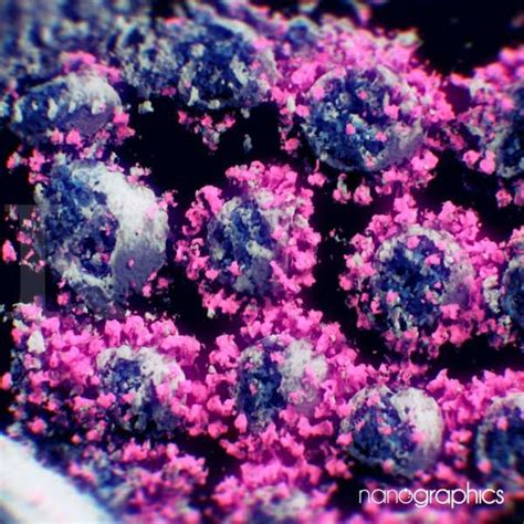 We did not find results for: Mau lihat wujud virus corona yang nyata dalam 3D? Ini ...