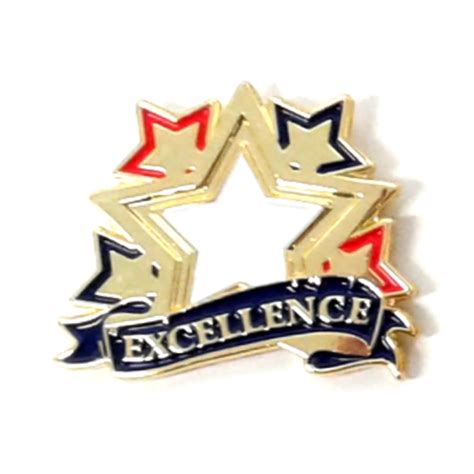 Excellence Lapel Pin Award Citizenship Pin Just Award Medals