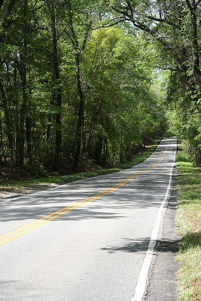 Ashley River Road District ~ Some Almost 63 Miles Of Two Lane State