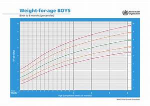 Who Boys Growth Chart Weight For Age Birth To 6 Months Percentiles