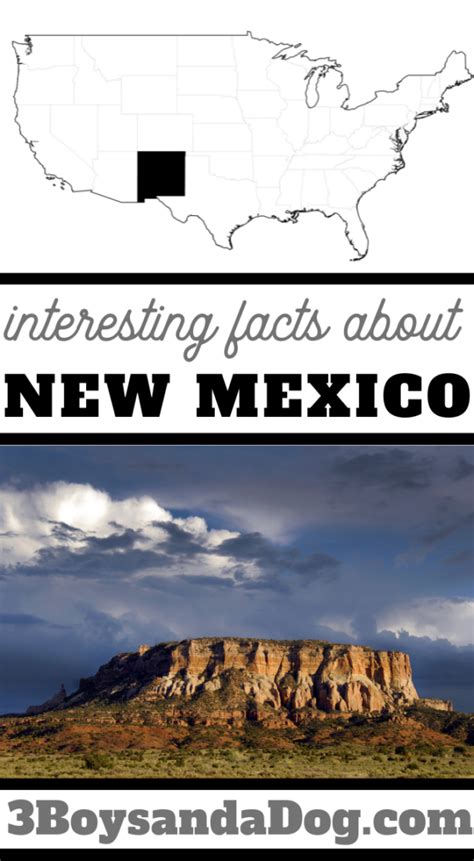 Interesting Facts About New Mexico 3 Boys And A Dog