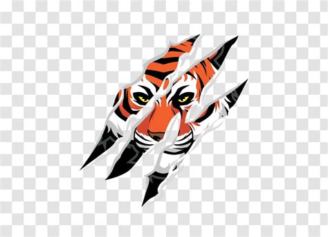 Tiger Claw Clip Art Transparent Png