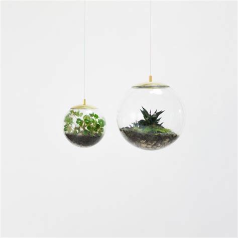 Clear Choice A Glass Globe Terrarium By Designer Richard Clarkson Gardenista Terrarium