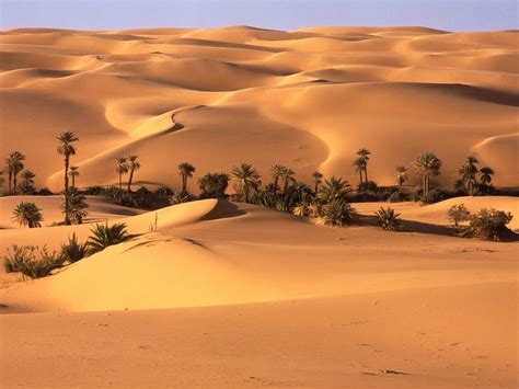 Desiertosntic Los 5 Desiertos Mas Importantes Del Mundo