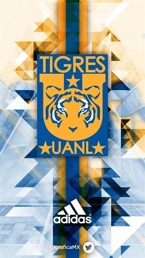 Best Tigres Tigres Uanl Hd Phone Wallpaper Pxfuel