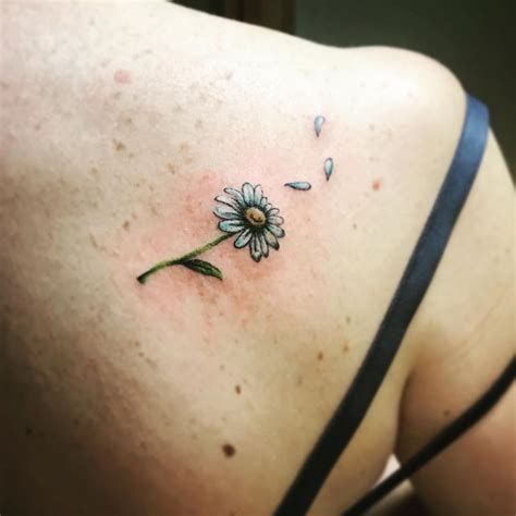 94 Daisy Meaning And Symbolism Ideas Tattoo Ideas Now