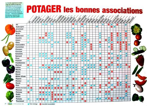 Les Bonnes Associations Le Jardin Des Petits Lutins