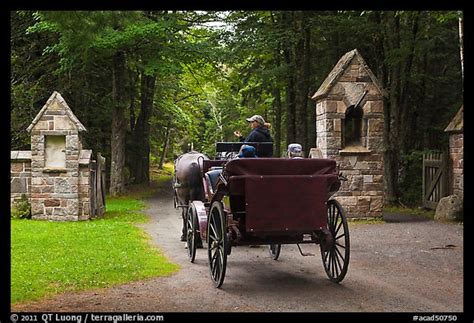 Picturephoto Carriage Passing Through Carriage Road Gate Acadia