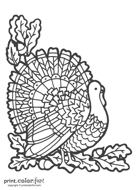 Easy and free to print thanksgiving turkeys coloring pages for children. Decorative turkey coloring page - Print. Color. Fun!