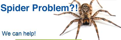 When it comes to pest control, taking a look at user and customer reviews is important, as they will give you a good idea of how effective the operator is in your specific. How to Spider Proof Your Home? Pest Control Blog | Pest ...