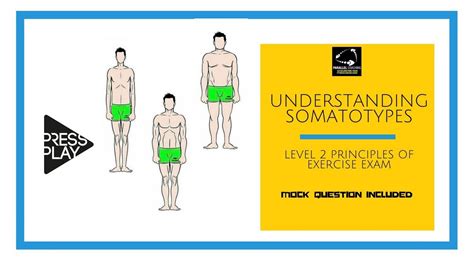 Understanding Somatotypes Level 2 Principles Revision Youtube